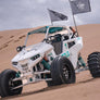 RS1 CAGE