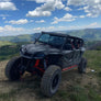 Honda Talon 4 Seat Cage