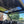 Vision Roof / Sun Roof