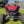 PRO-R/ TURBO-R/ PRO-XP TRUNK LID