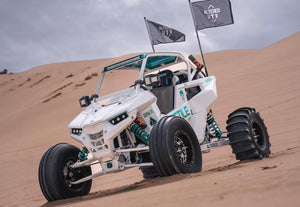 RS1 CAGE