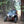Honda Talon 4 Seat Cage